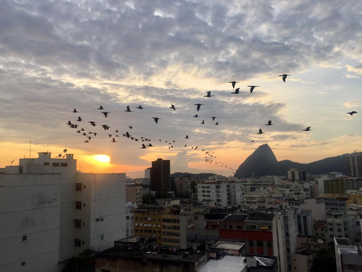 Loft Catete Apartamento Rio de Janeiro Exterior foto